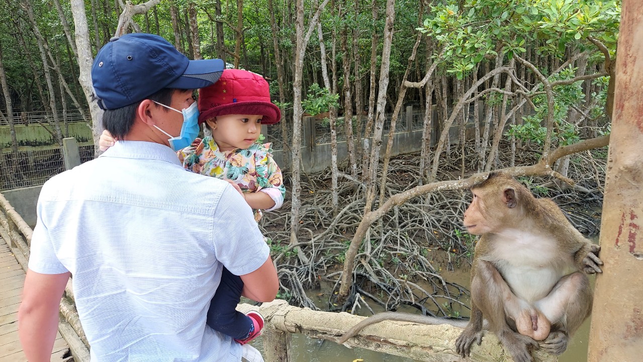 Đảo Khỉ Cần Giờ – Địa điểm du lịch gần Sài Gòn cho gia đình