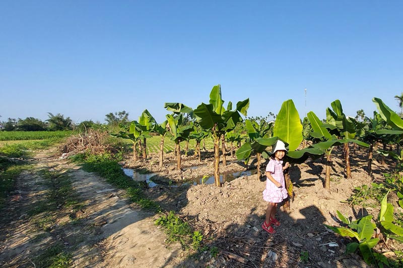 20-trai-nghiem-thu-vi-trong-ky-nghi-o-nong-thon