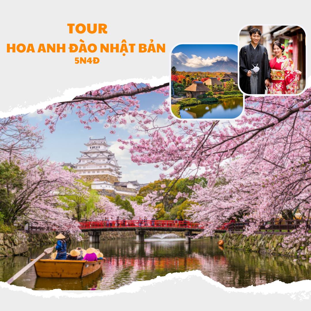 Tour Hoa Anhd đào Nhật Bản