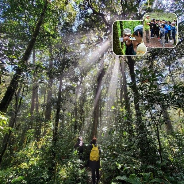 Tour HỌc Sinh ĐÀ LẠt 1