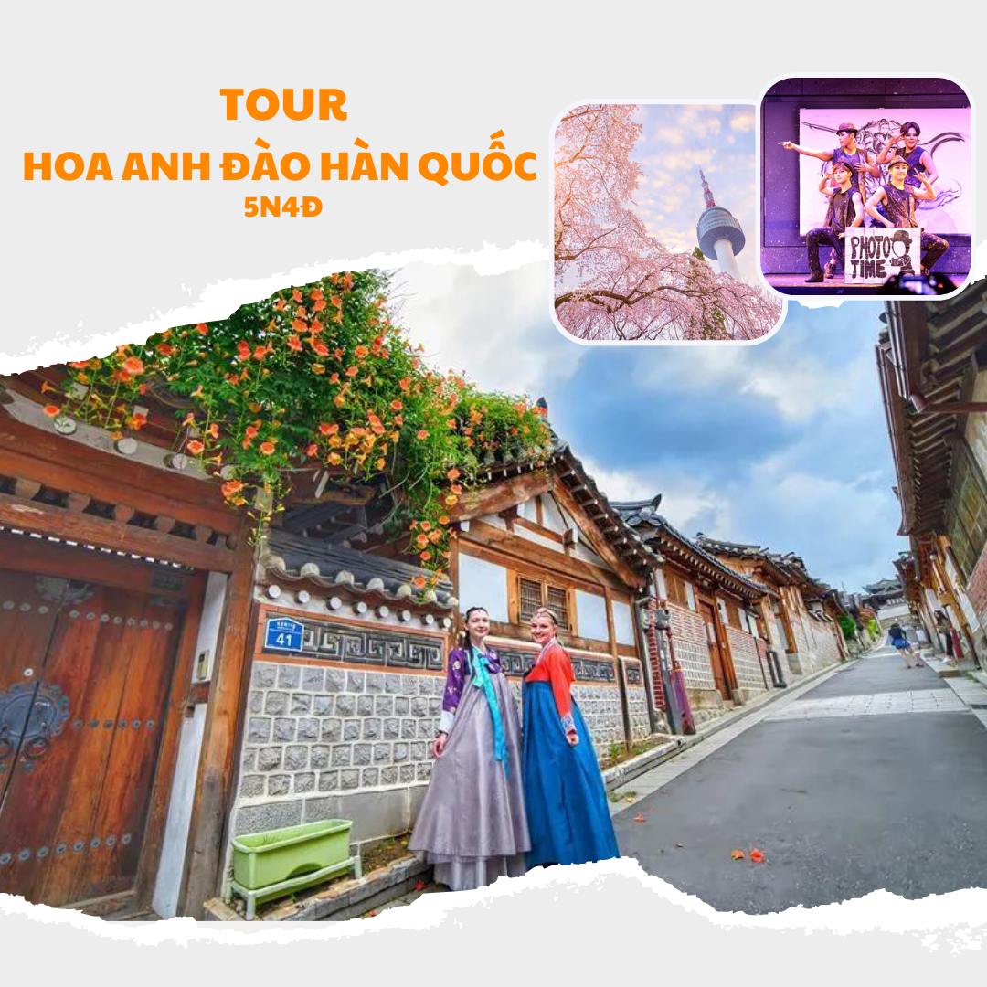 Tour Hoa Anh đào Hàn Quốc