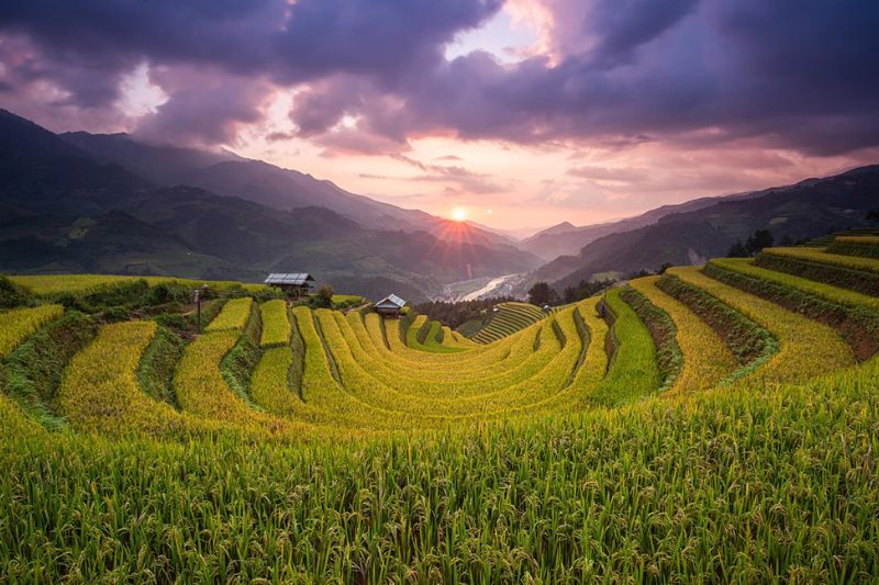 Tour Trekking - Mù Cang Chải_ Khung Cảnh Ruộng Bậc Thang đẹp Nhất Việt Nam