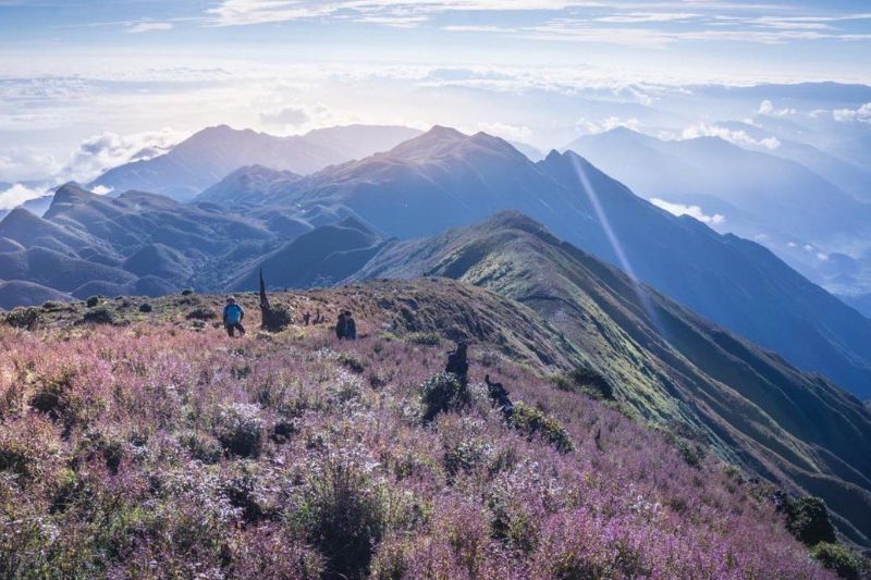 Tour Trekking - Mùa Hoa đỗ Quyên Nở Rộ ở Tà Chì Nhù