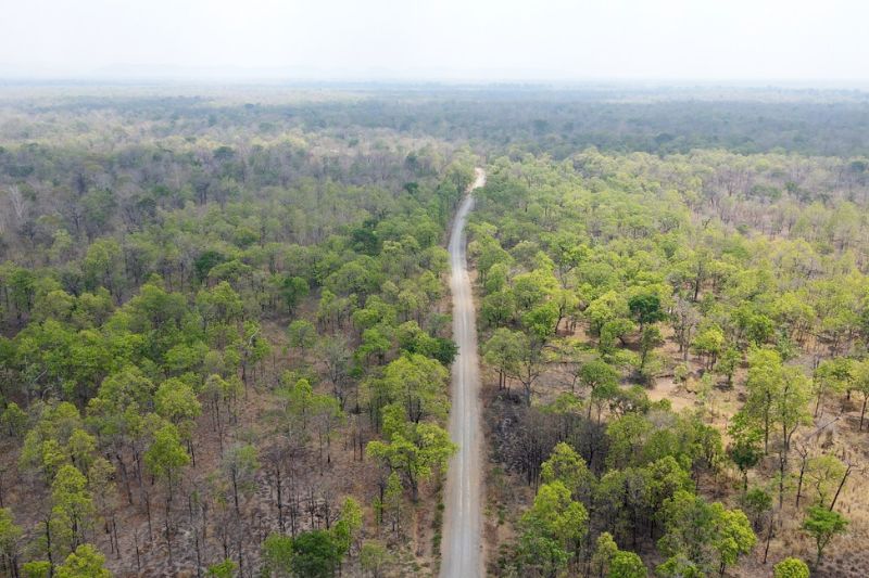 Tour Trồng Cây - Diện Tích Và Mật độ Cây Rừng ở Vườn Quốc Gia Yok Don Giảm Báo động