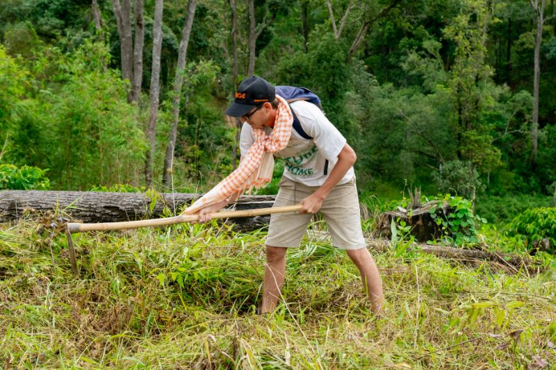 Tour Trồng Cây - Hoạt động Tạo Lỗ để Bỏ Cây Giống Vào Trồng