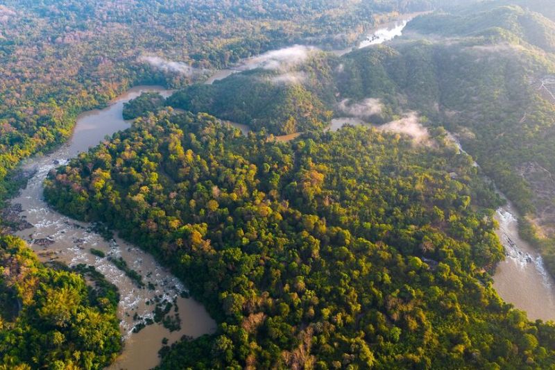 Tour Trồng Cây - Vườn Quốc Gia Cát Tiên Nằm Trong Hệ Thống Khu Dự Trữ Sinh Quyển Đồng Nai