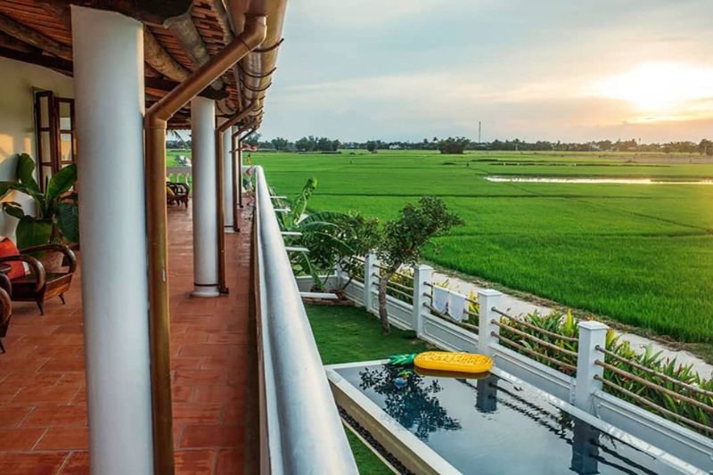 Du Lịch Hội An - Nhiều Homestay Có Chất Lượng Cao, Giá Cả Phù Hợp Và View Cánh đồng Lúa đang Thu Hút Nhiều Du Khách đoàn Nhỏ Và Vừa