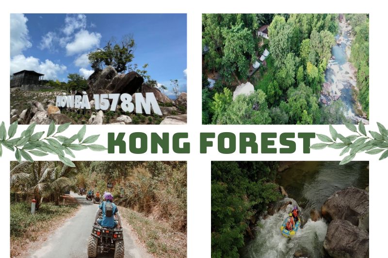 Kong Forest Nha Trang - Ảnh đại Diện Kong Forest Nha Trang. Source Sưu Tầm Internet