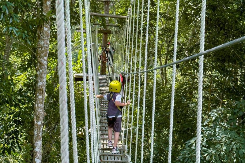 Kong Forest Nha Trang - Zipline. Source Sưu Tầm Internet