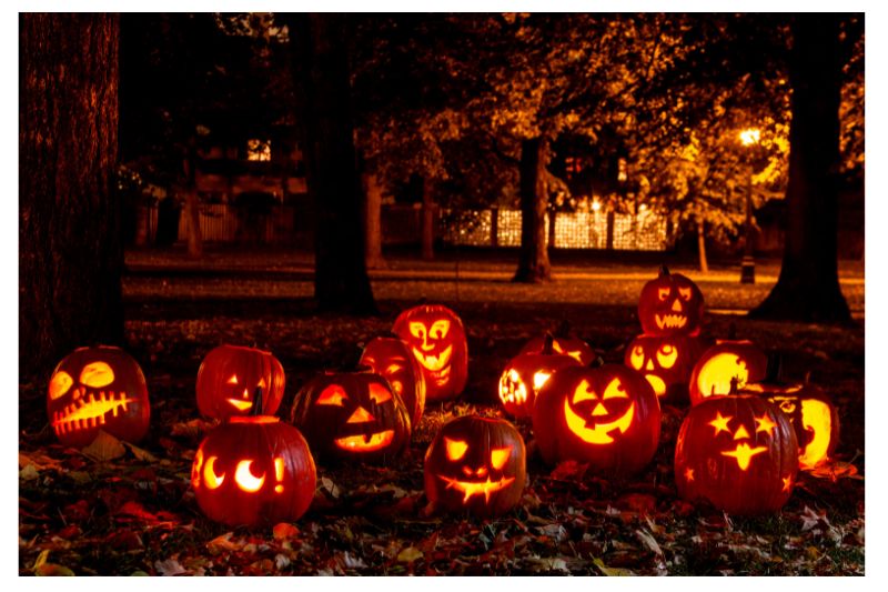 Hoạt động Halloween - Khắc Bí Ngô - Tạo Sự Gắn Kết. Source Sưu Tầm Internet