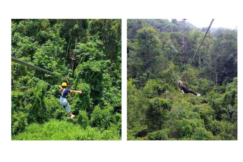 Kong Forest - Sự đa Dạng Về Chủng Loại. Source Sưu Tầm Internet