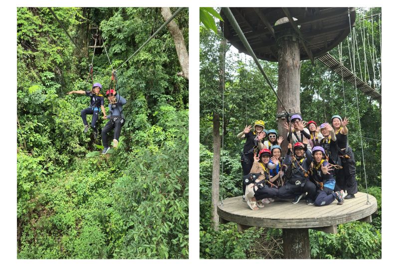 Kong Forest - Zipline. Source Sưu Tầm Internet