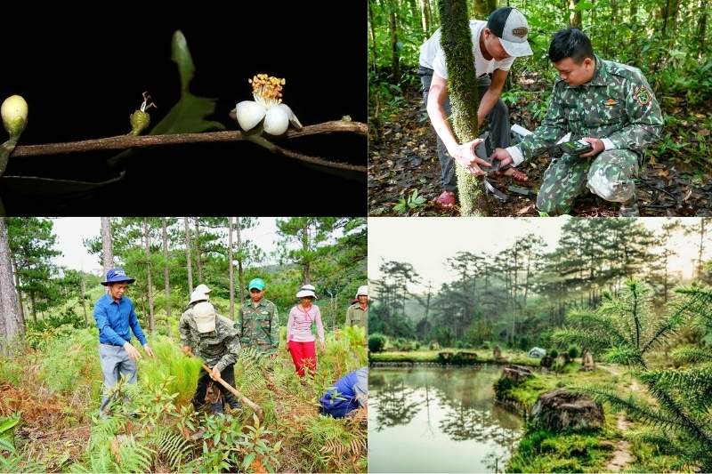 Vườn Quốc Gia Bidoup Núi Bà - Hệ Sinh Thái đa Dạng Tại Vườn Quốc Gia Bidoup Núi Bà. Source Sưu Tầm Internet