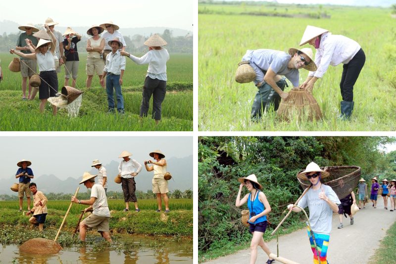 Source Sưu Tầm Internet