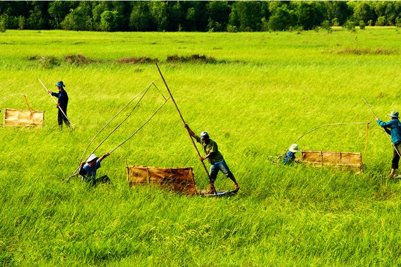 Source Sưu Tầm Internet