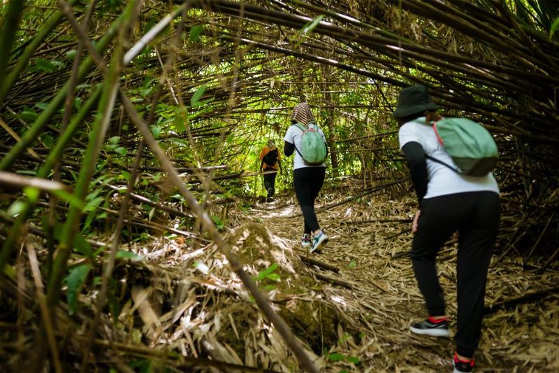 Tb SÀi GÒn - Trekking 2