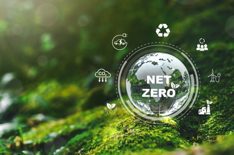 Net Zero - Bìa