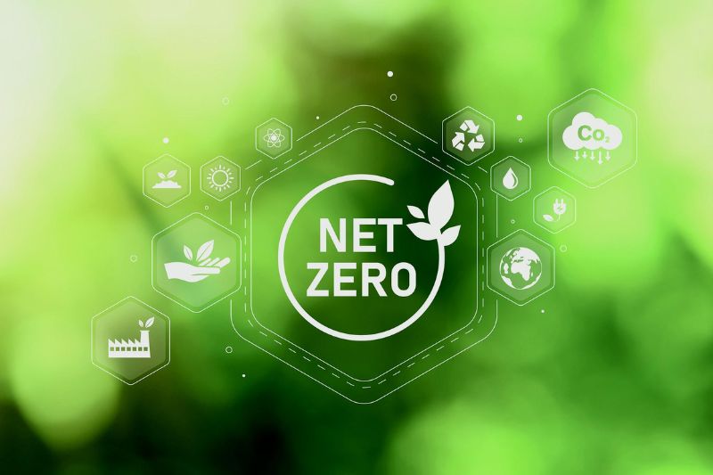 Du Lịch Net Zero - 3