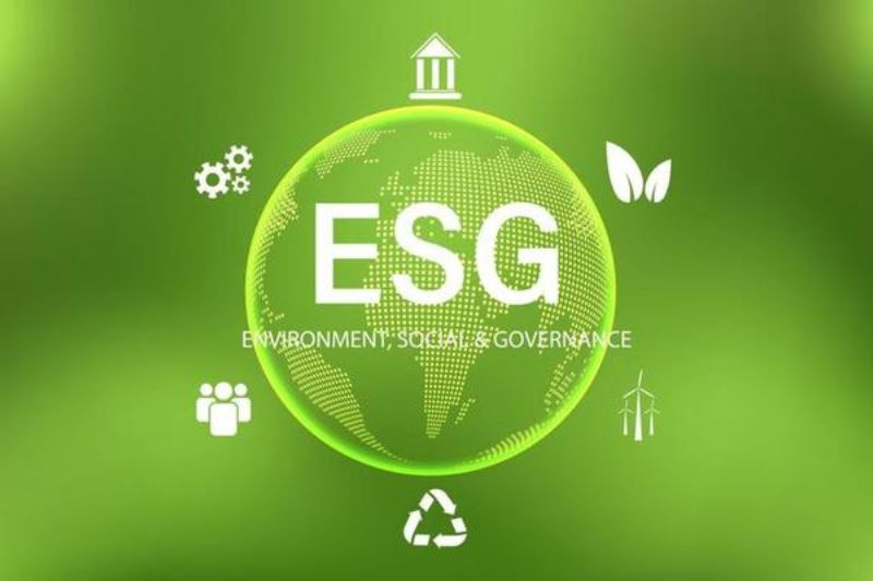 Esg - Bìa