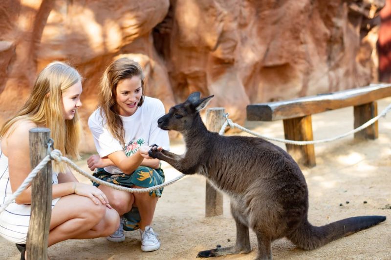 Tour Úc - Sydney Zoo 1