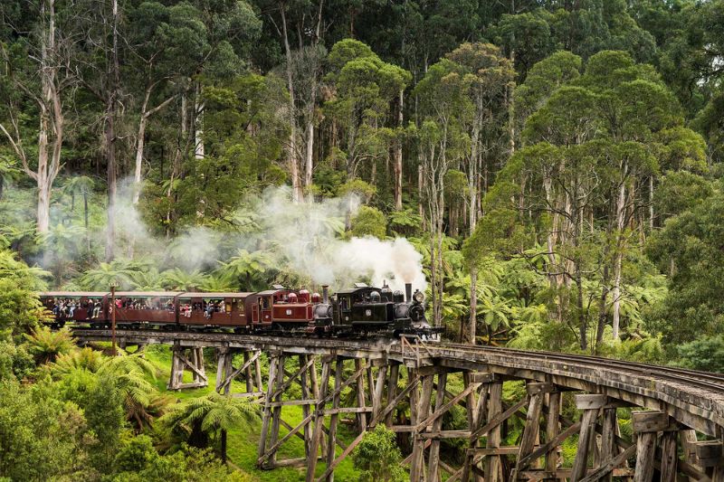 Tour Úc - Xe LỬa HƠi NƯỚc Puffing Billy