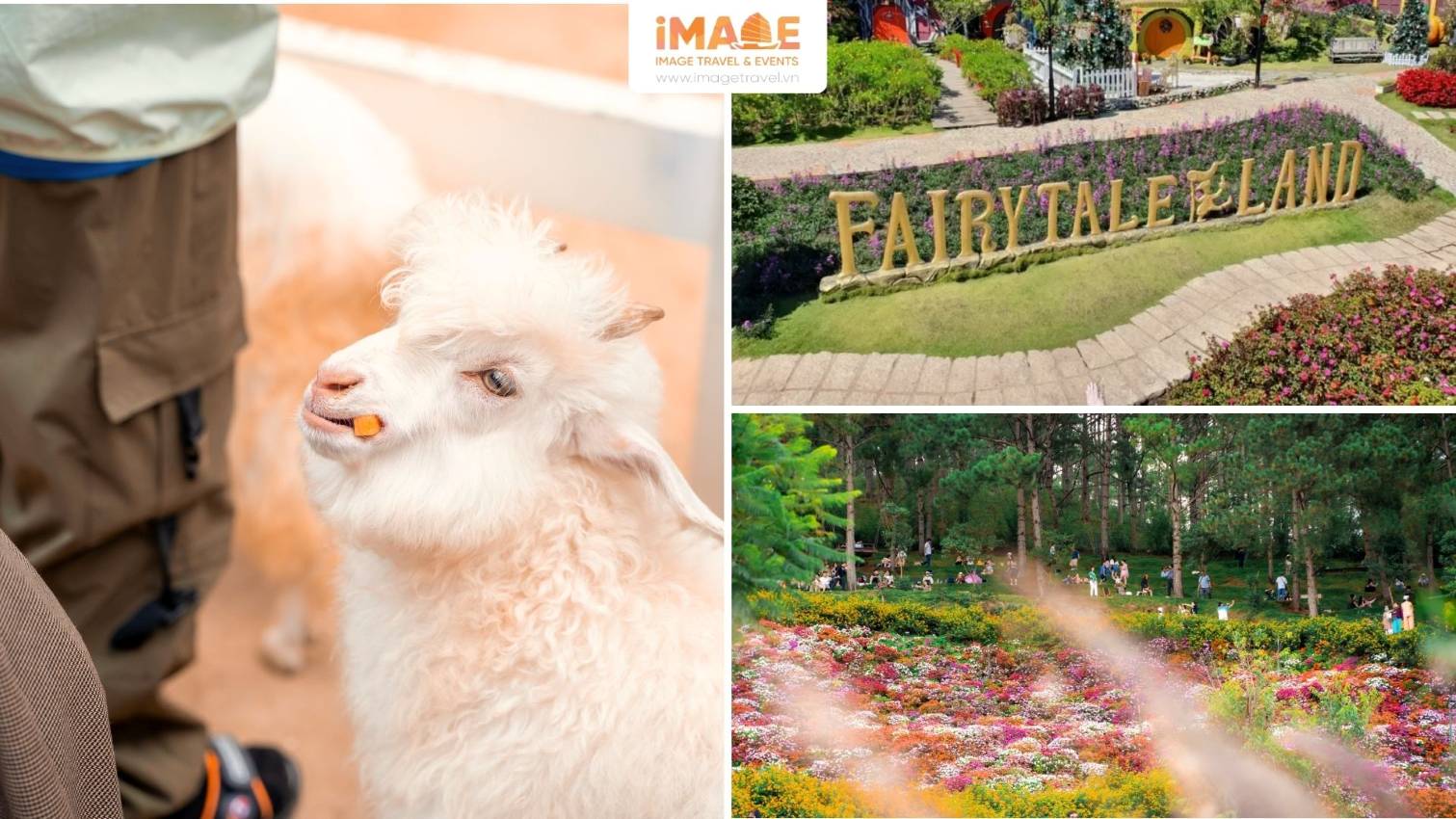 Fairytale Land – Cổ Tích Và Thú Cưng