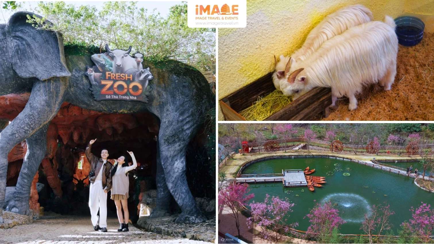 Fresh Zoo Đà Lạt – Sở Thú Trong Nhà