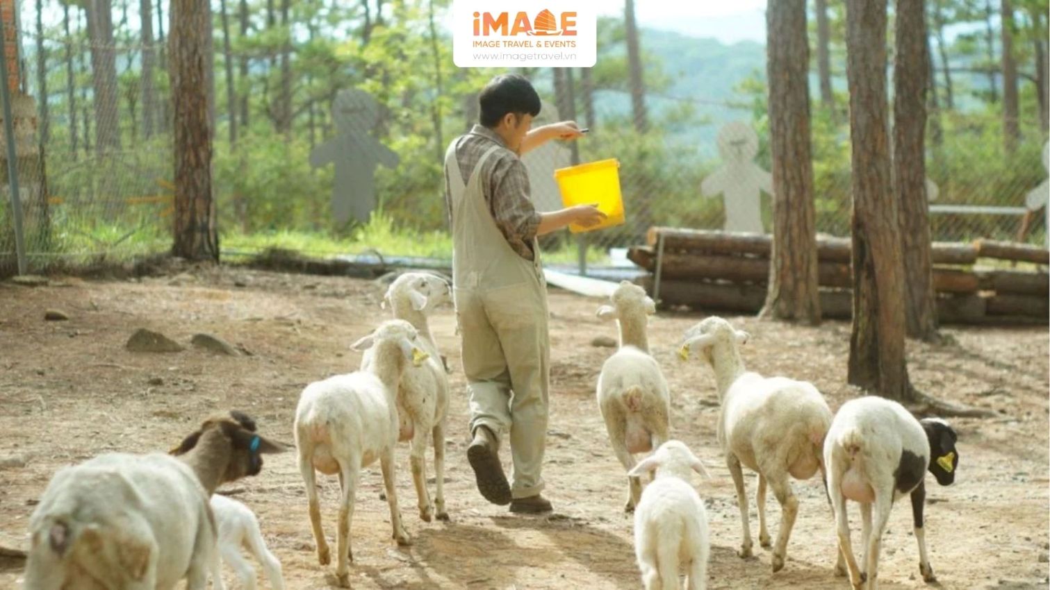 Khám Phá Vườn Thú Tại Đà Lạt