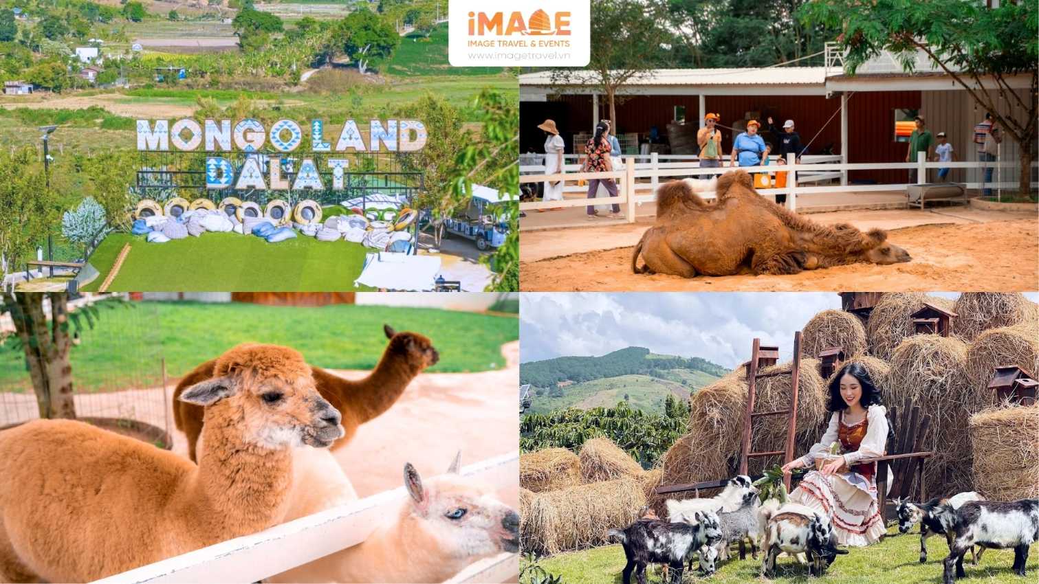 Mongo Land - Thảo Nguyên Mông Cổ
