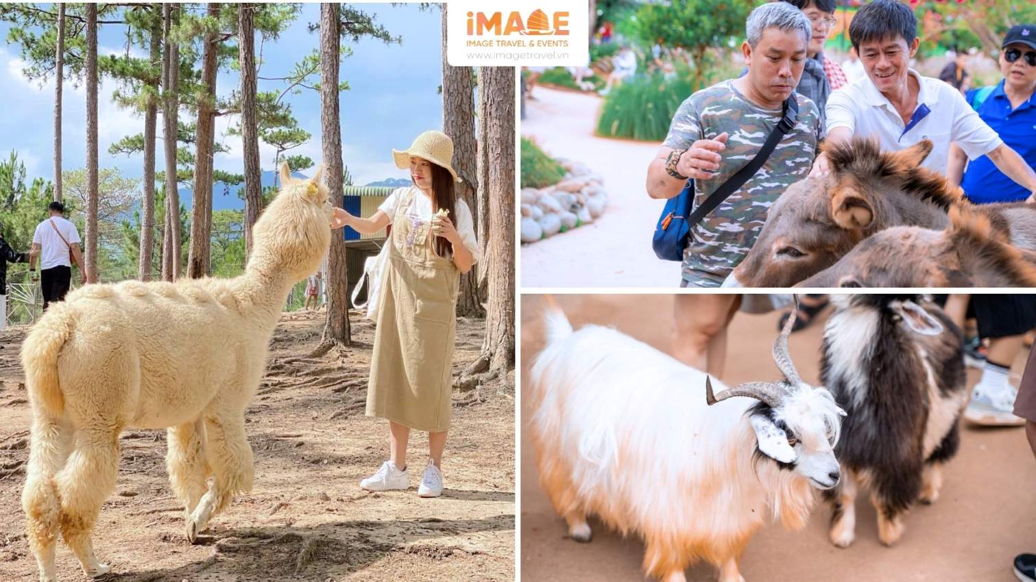 Zoodoo Đà Lạt - Vườn Thú Kiểu Úc
