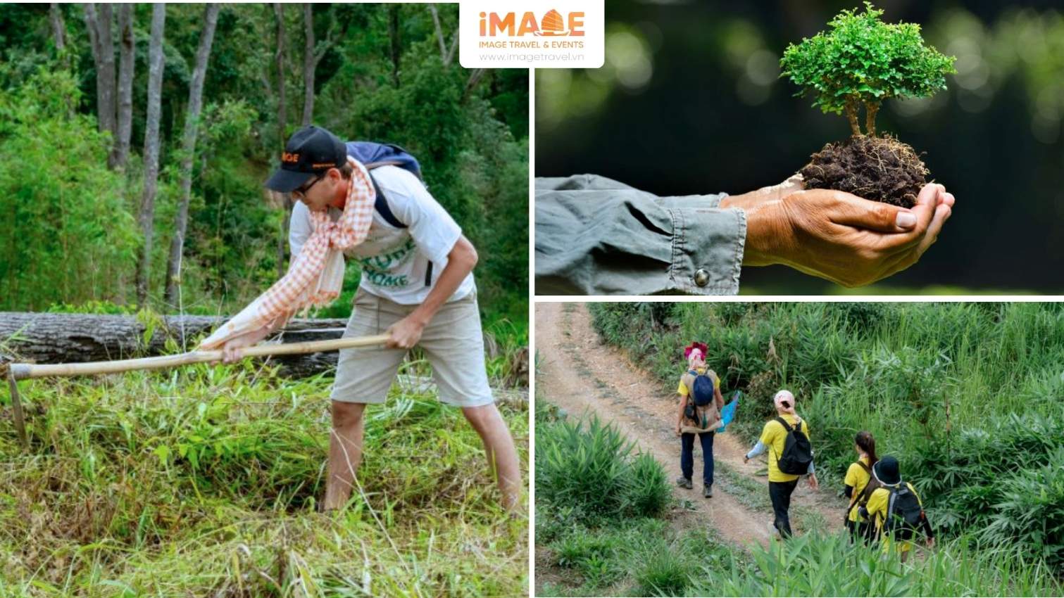 Tour trồng cây Tà Đùng