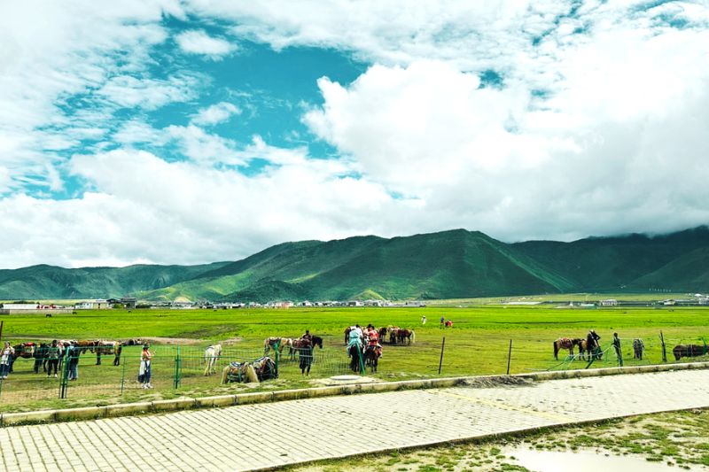 Lệ Giang Shangrila, Thảo Nguyên Shangrila
