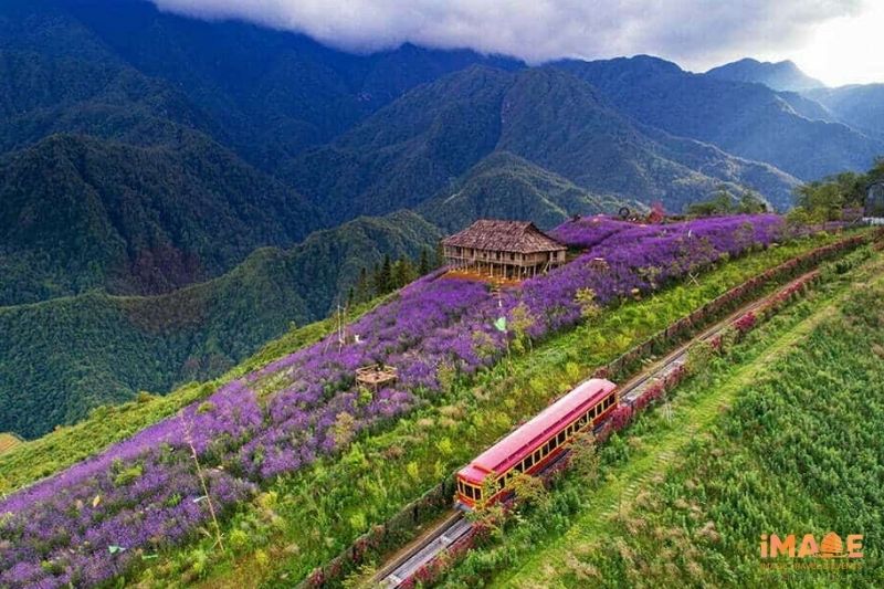 Thung Lũng Mường Hoa - Sa Pa