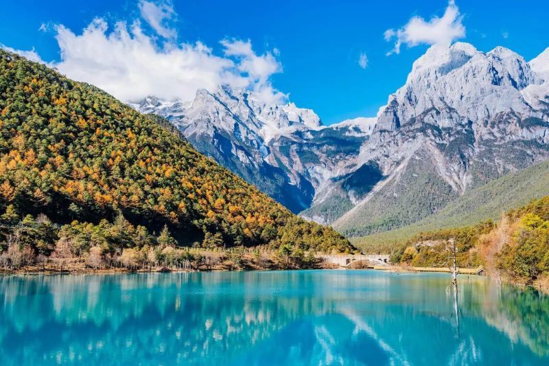 ảnh đại Diện Lệ Giang Shangrila