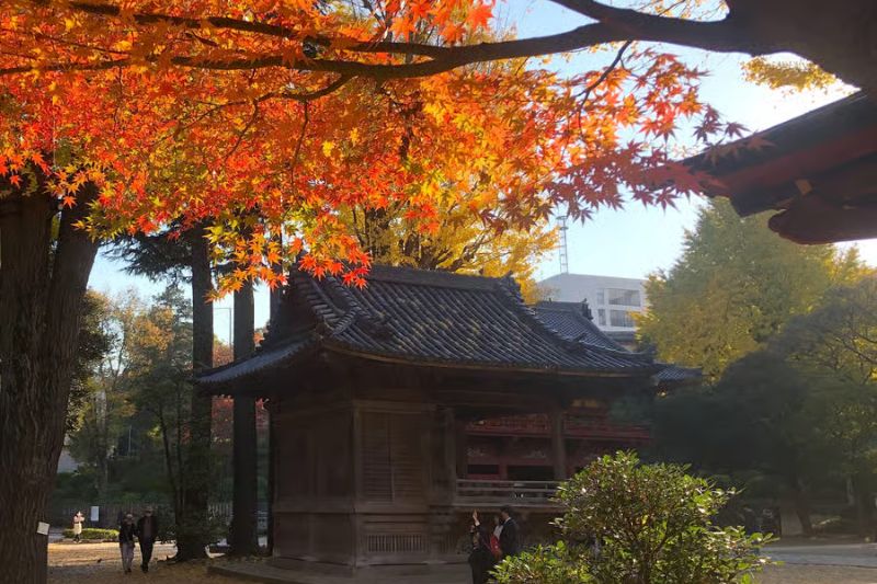 Du lịch Tokyo mùa thu, Một góc nhỏ của Yanaka khi vào thu. Nguồn: Internet 