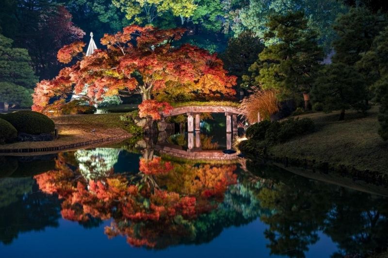 Du lịch Tokyo mùa thu, Vườn Rikugien vào đêm mùa thu. Nguồn: Internet 