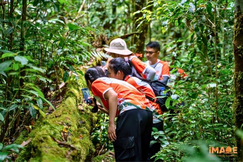 Company Trip ĐÀ LẠt - Bidoup TẠi Image Travel & Events