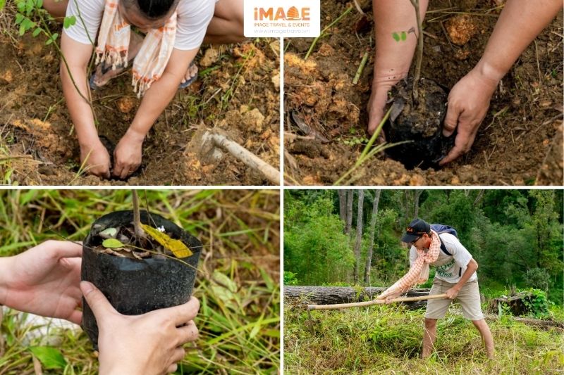 Hoạt động Trồng Cây Tại Bidoup