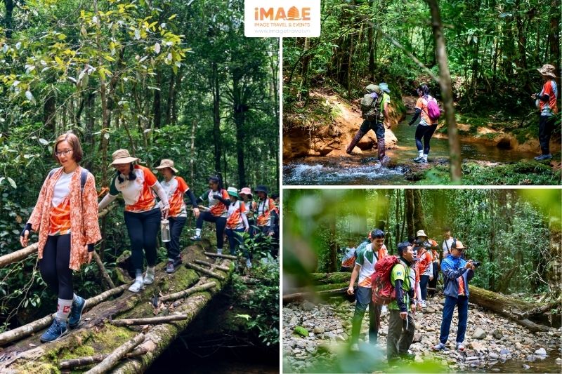 Trekking Khám Phá Tại Vqg Bidoup