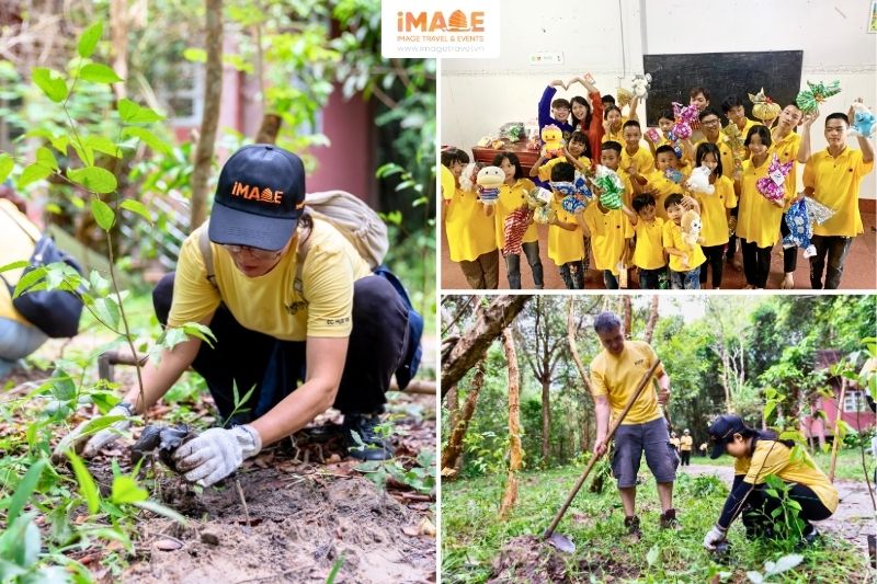 Hoạt động Trồng Cây - Csr ý Nghĩa