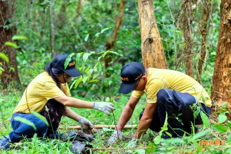 Lợi ích Khi Doanh Nghiệp Chọn Du Lịch Bền Vững