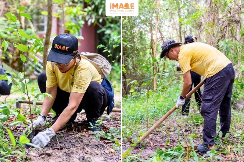 Trồng Cây Tại Khu Bảo Tồn Thiên Nhiên Bình Châu