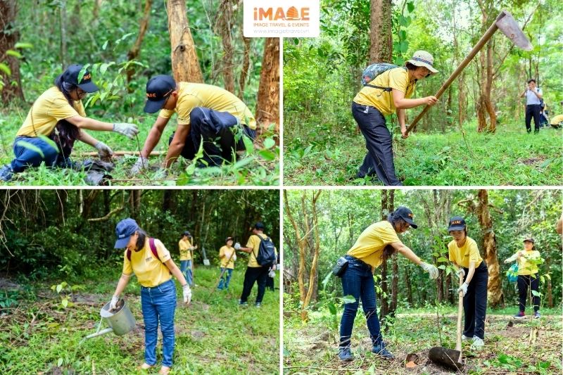 Hoạt động Trồng Cây Tại Bình Châu - Phước Bửu