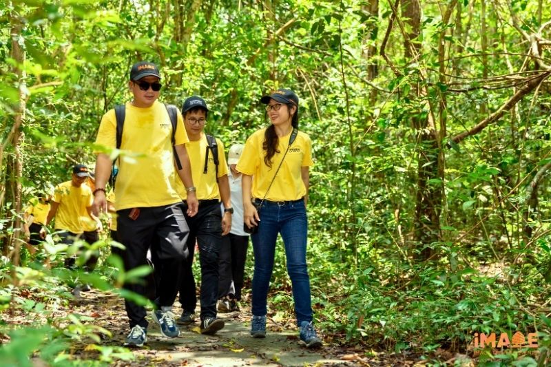 Dạo Bộ Tại Rừng Nhiệt đới Bình Châu - Phước Bửu