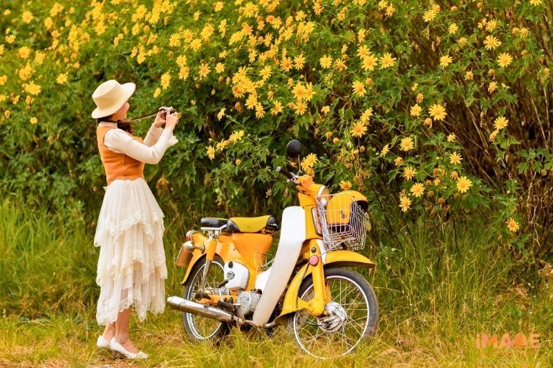Măng Đen - Điểm Ngắm Dã Quỳ Hot Nhất