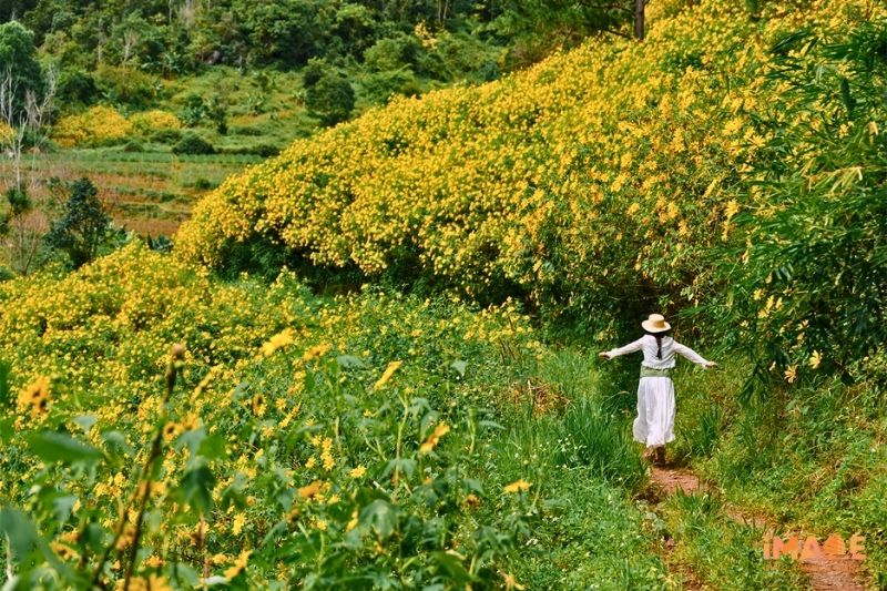 Khám Phá Đà Lạt Tháng 10-11