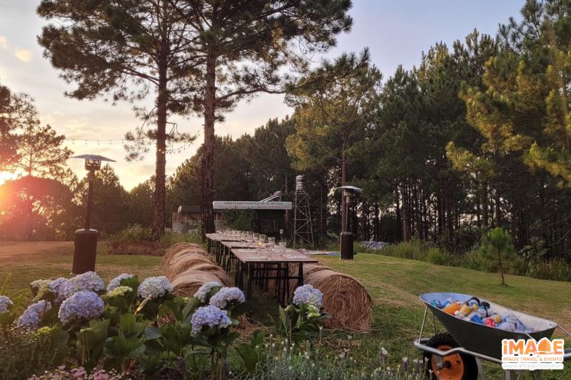 Dalat Blue Mountain Farm