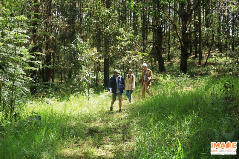 Phong Cảnh Núi Rừng - Nguồn: Internet