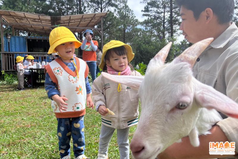 Tham Quan Tự Do Tại Dalat Blue Mountain Farm - Nguồn: Internet