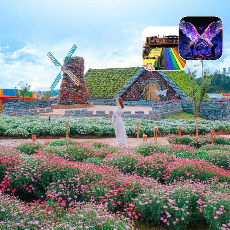 Avatar Tour Web 9_delight Park